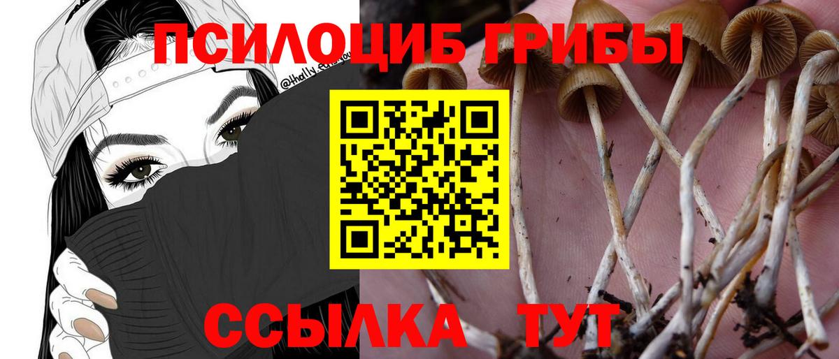 Галлюциногенные грибы мухоморы Урюпинск